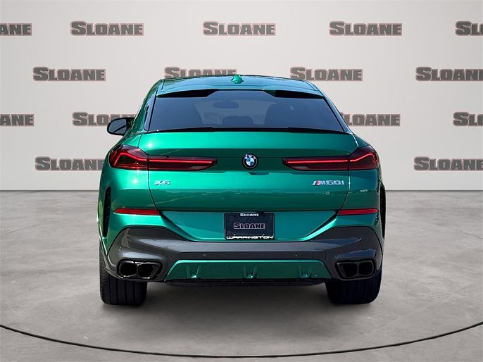 2024 BMW X6