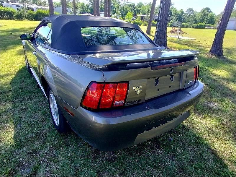 2002 Ford Mustang null image 4