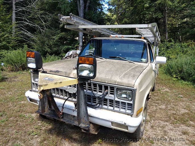 1981 Chevrolet C/K 20