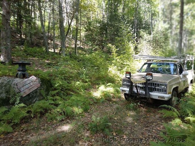 1981 Chevrolet C/K 20