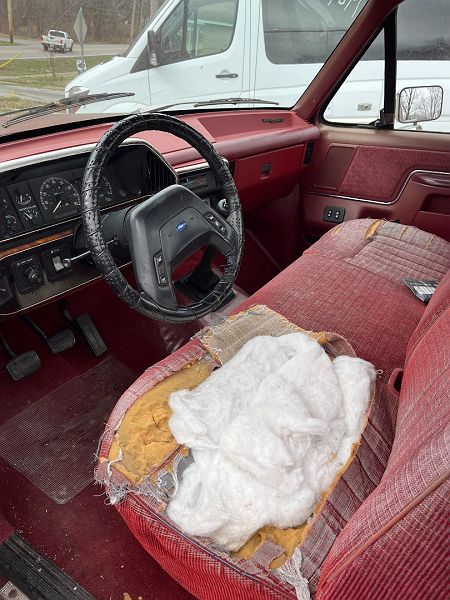 1989 Ford F-150 S image 5