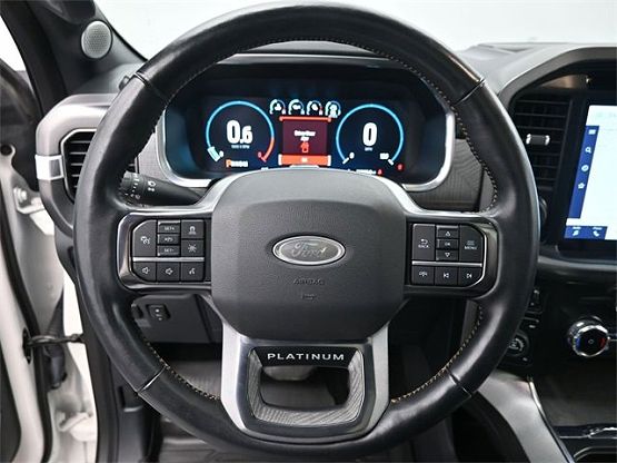 2022 Ford F-150 Platinum photo 10