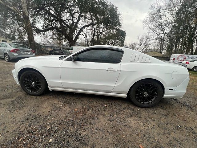 2014 Ford Mustang null image 5