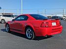 2004 Ford Mustang Mach 1 image 7