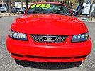 2003 Ford Mustang null image 11