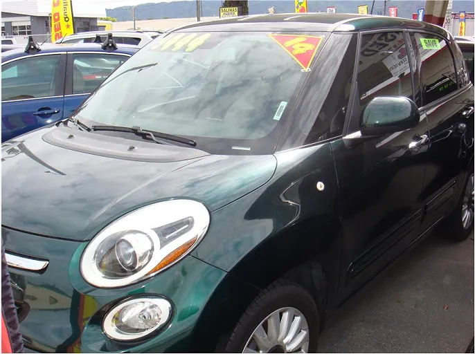 2014 Fiat 500L