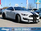 2016 Ford Mustang Shelby GT350 image 1