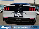2016 Ford Mustang Shelby GT350 image 4