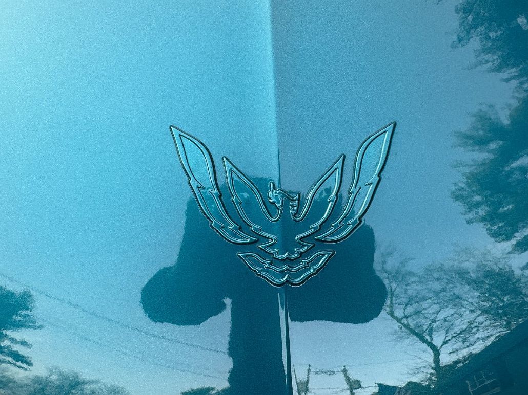 1994 Pontiac Firebird null image 3