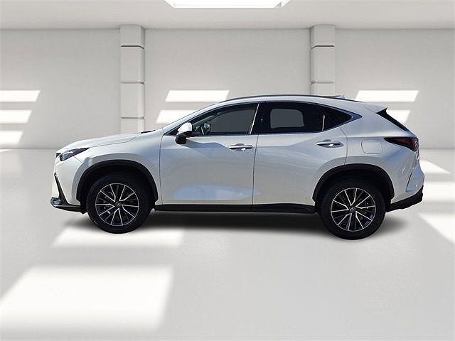 2024 Lexus NX