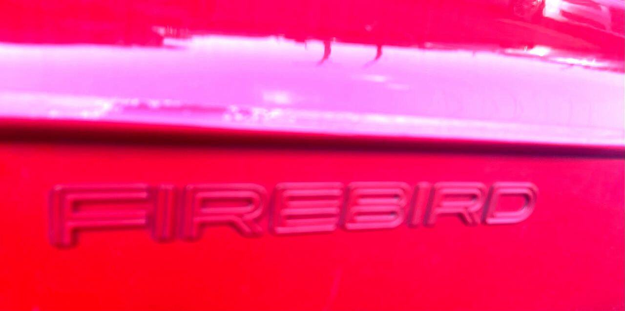 1995 Pontiac Firebird null image 19