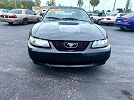 2002 Ford Mustang null image 1