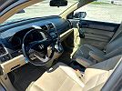 2009 Honda CR-V EXL image 5