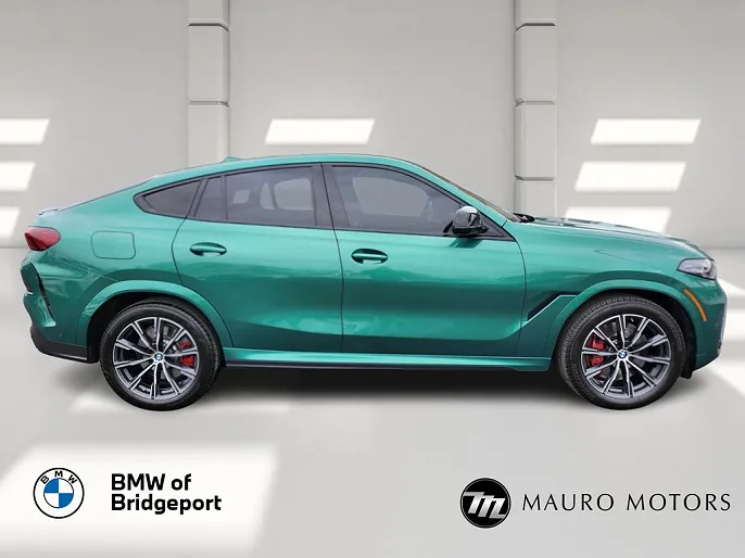2024 BMW X6