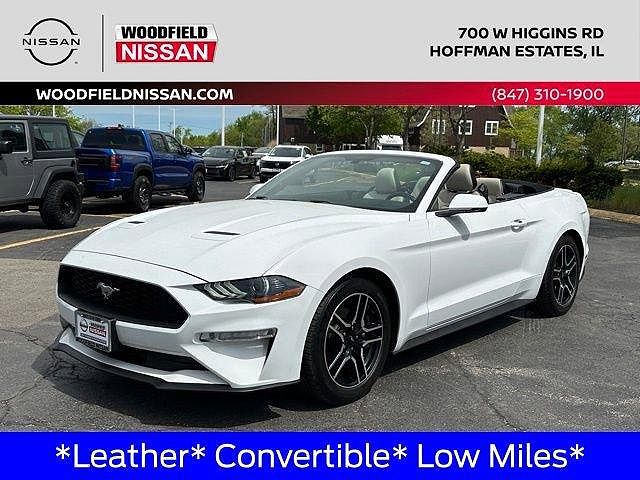2019 Ford Mustang