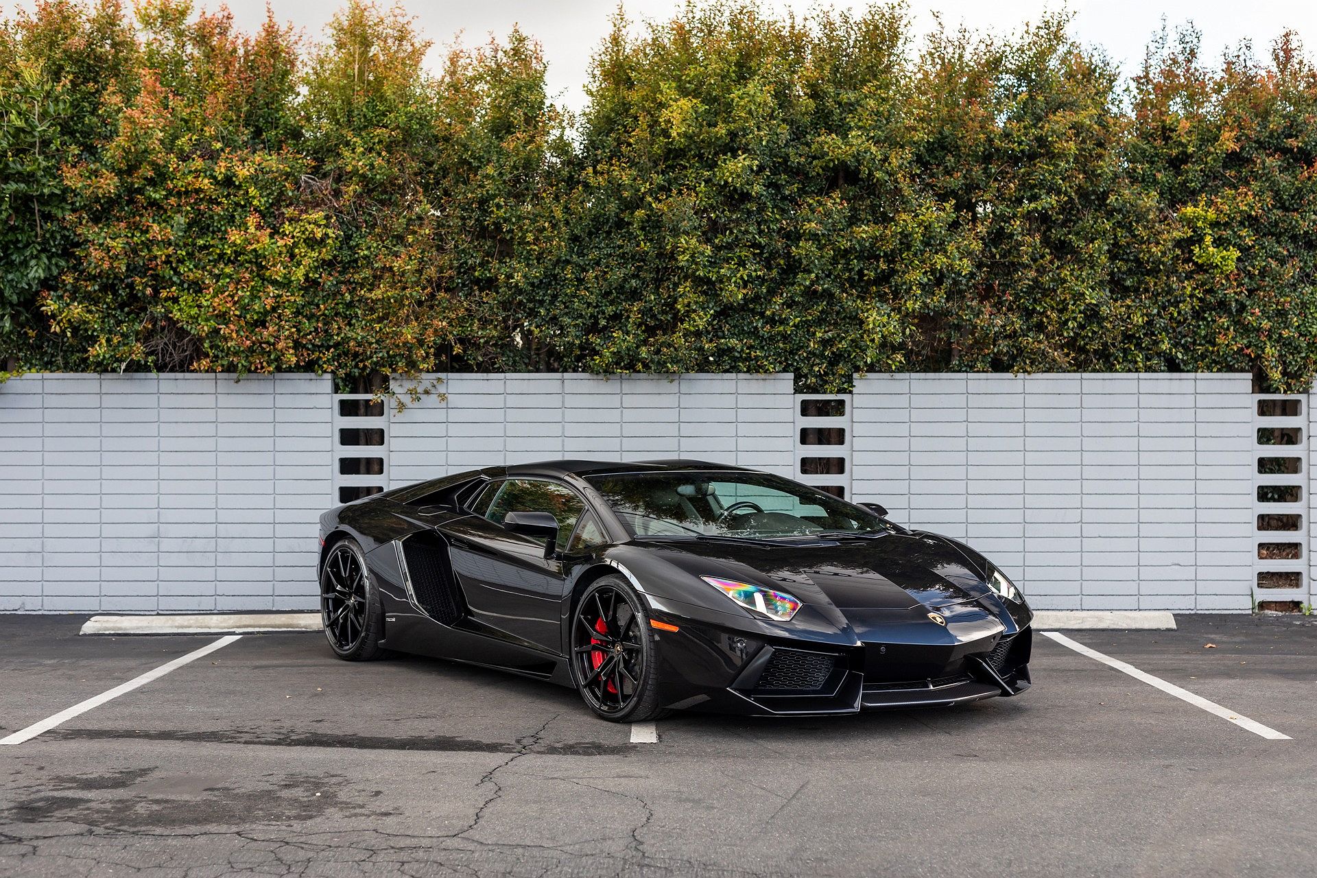 2014 Lamborghini Aventador LP700 image 11