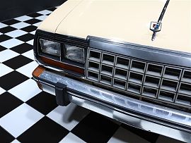 1983 American Motors Eagle