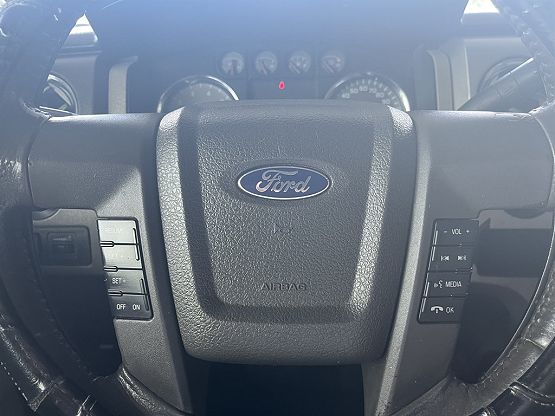 2010 Ford F-150 photo 2