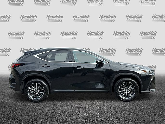 2025 Lexus NX