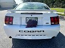 2001 Ford Mustang Cobra image 5