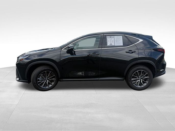 2022 Lexus NX