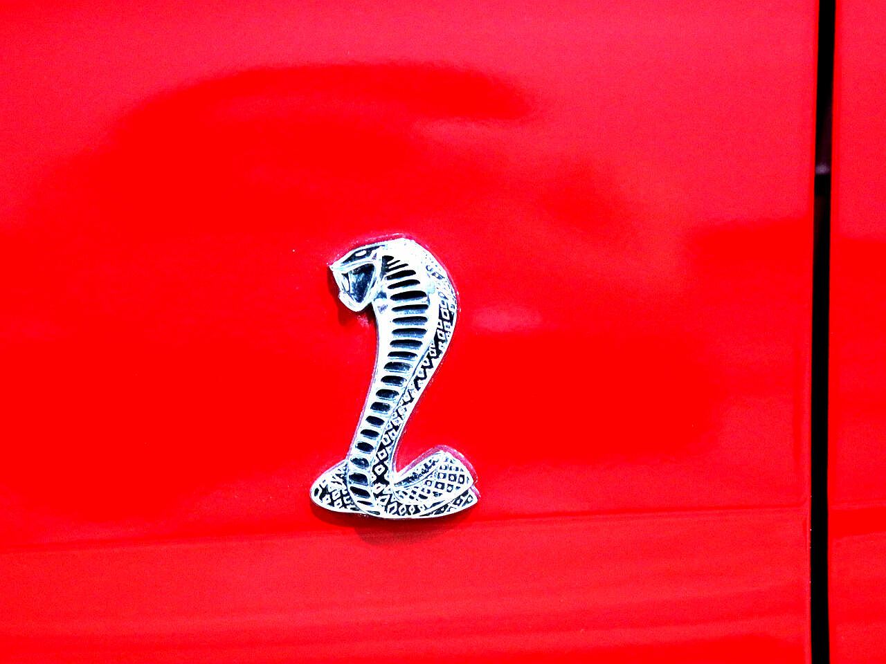 1994 Ford Mustang Cobra image 1
