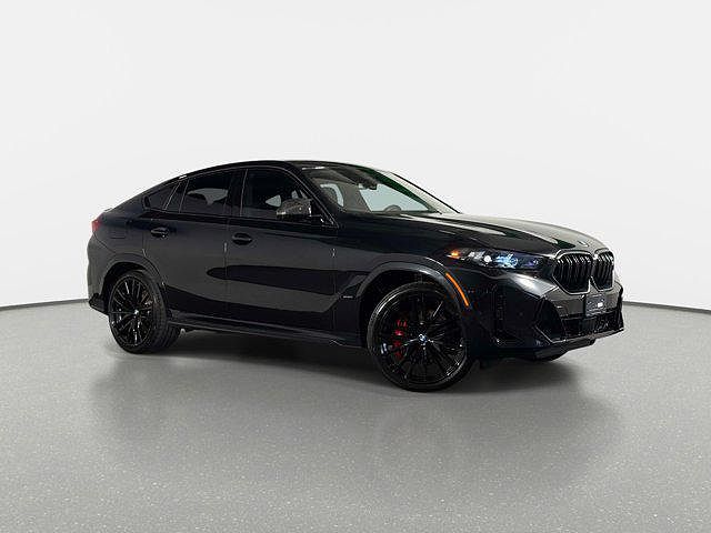 2024 BMW X6