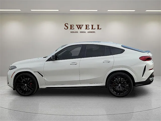 2024 BMW X6