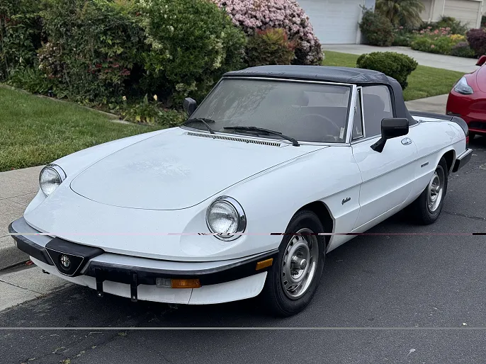 1986 Alfa Romeo Spider