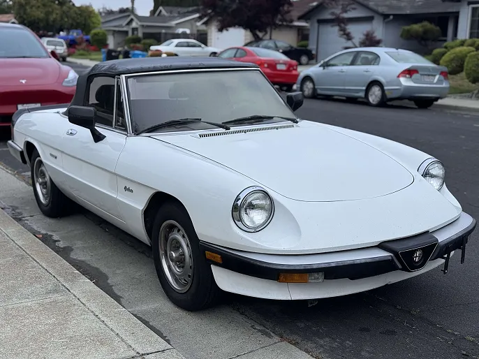 1986 Alfa Romeo Spider