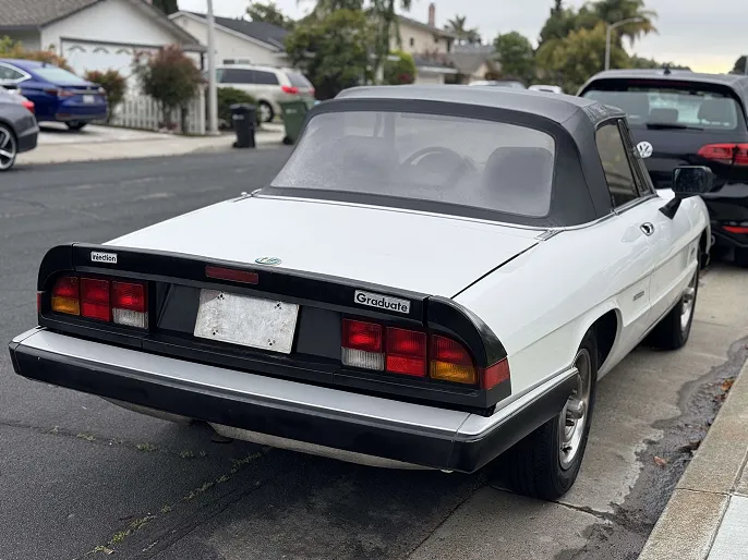 1986 Alfa Romeo Spider