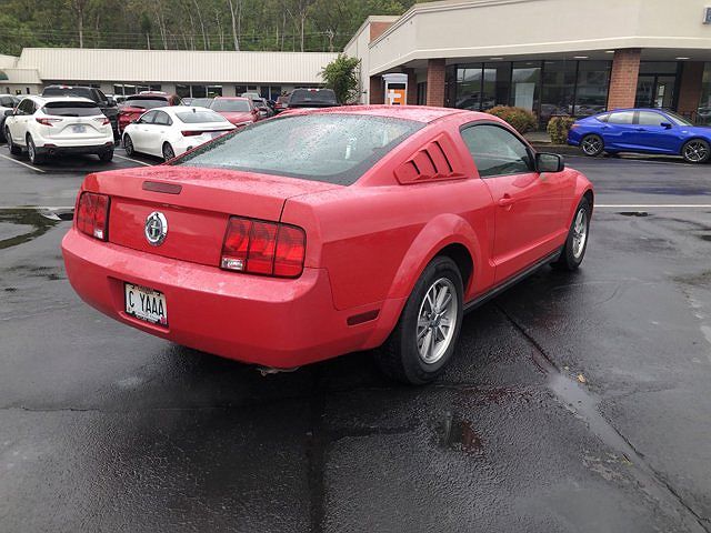 2005 Ford Mustang null image 3