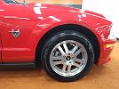 2009 Ford Mustang null image 9