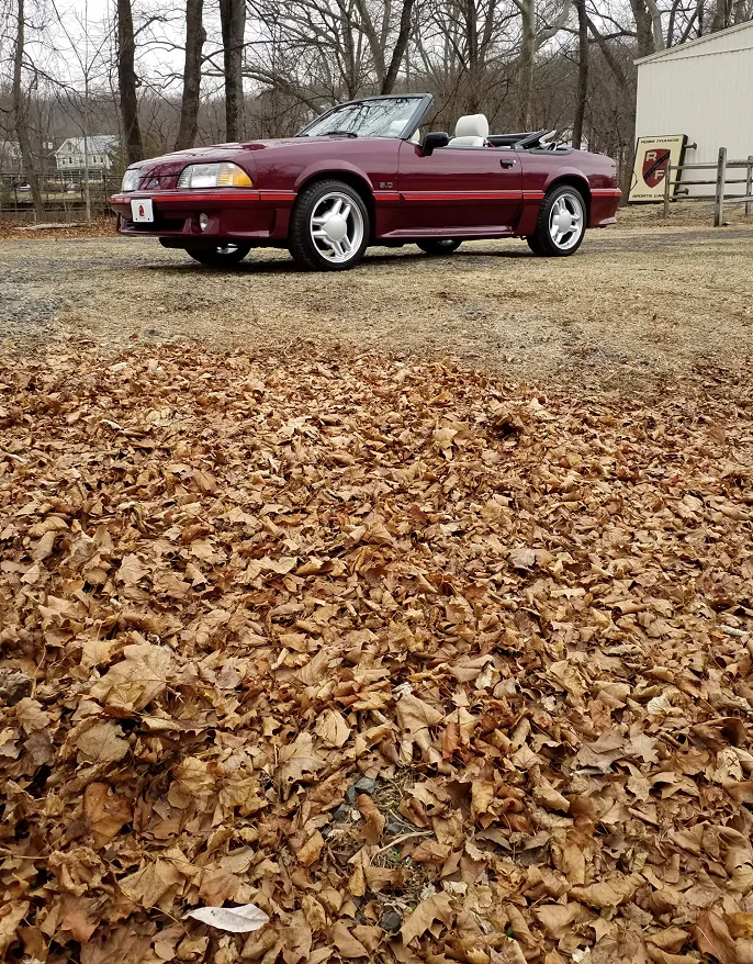 1988 Ford Mustang