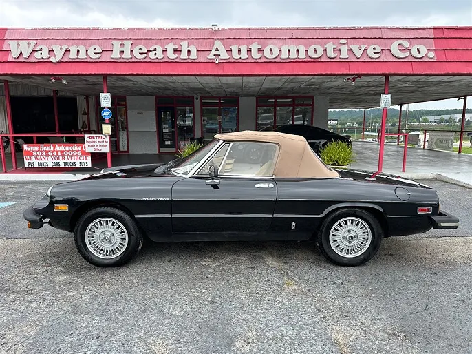 1981 Alfa Romeo Spider