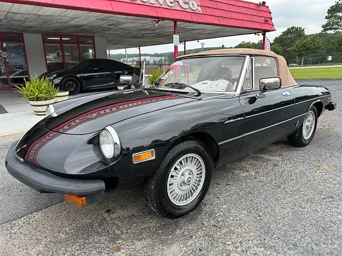 1981 Alfa Romeo Spider