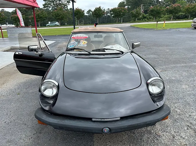 1981 Alfa Romeo Spider