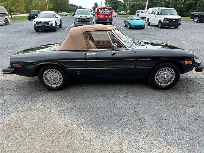 1981 Alfa Romeo Spider