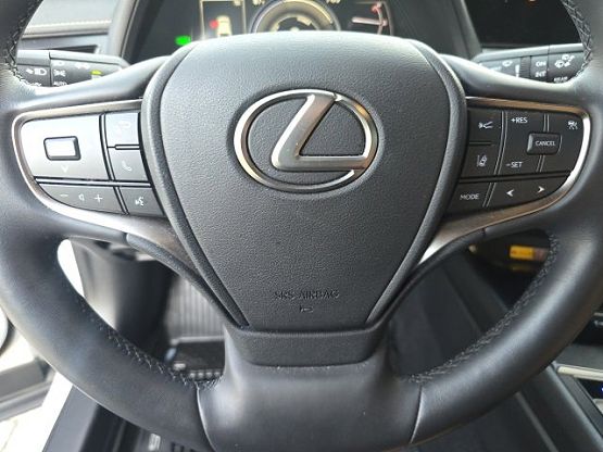 2024 Lexus UX 250h Premium photo 10