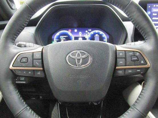 2024 Toyota Grand Highlander Platinum MAX photo 10