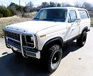 1981 Ford Bronco null image 6