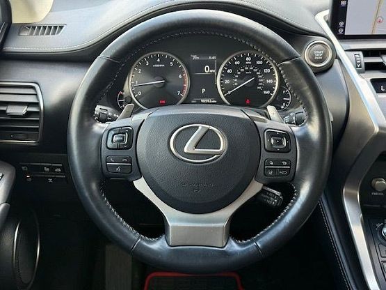 2019 Lexus NX 300 Luxury photo 11
