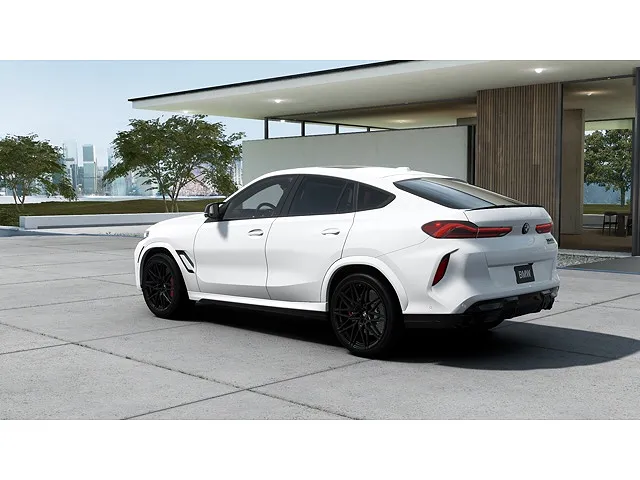 2025 BMW X6 M
