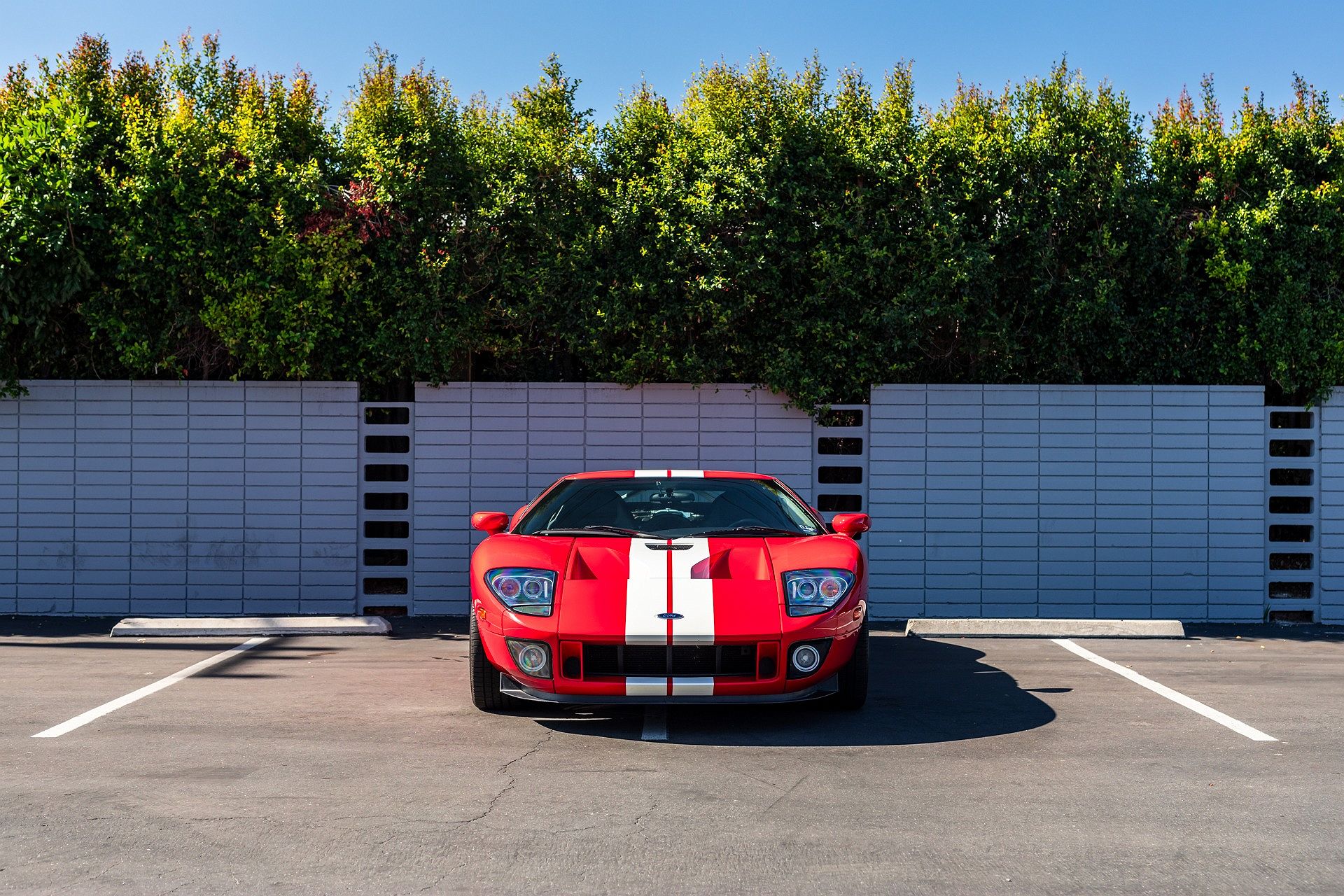 2006 Ford GT null image 12