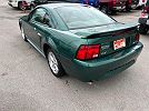 2001 Ford Mustang GT image 6