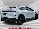 2020 Lamborghini Urus null image 5