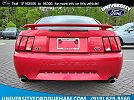 2001 Ford Mustang GT image 5