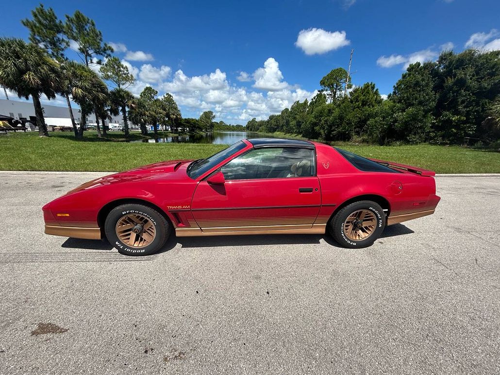 1984 Pontiac Firebird Trans Am image 2