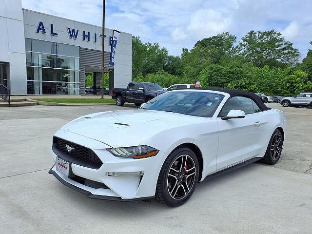 2019 Ford Mustang