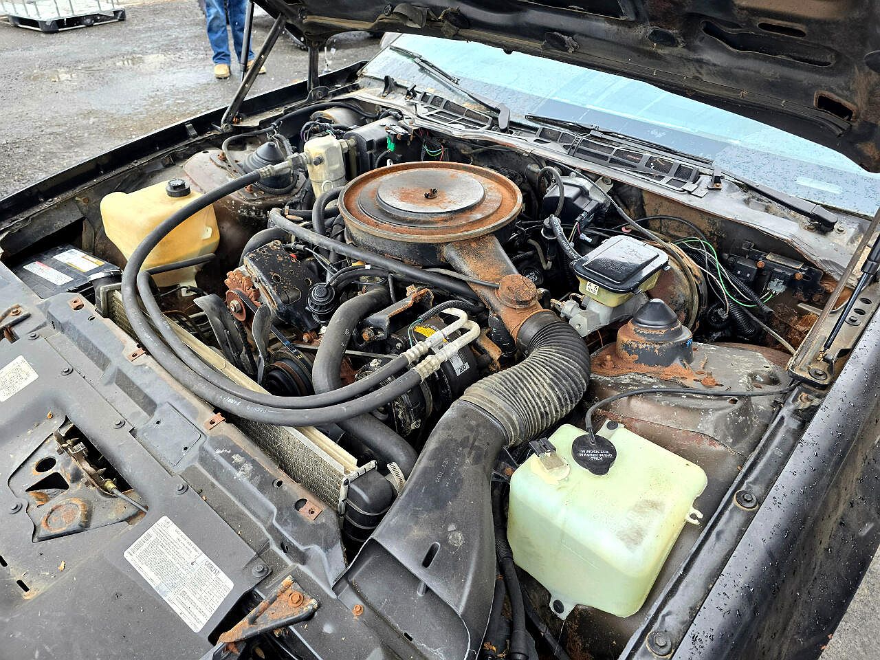 1984 Chevrolet Camaro null image 4